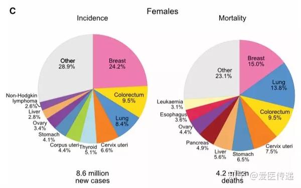 据《2018年全球癌症统计报告》显示,乳腺癌在全球范围内的发病率排名