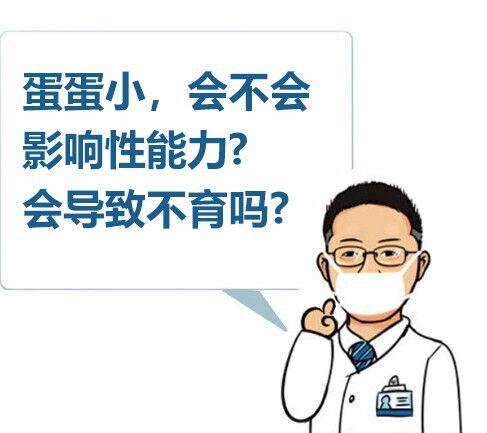 正常的[蛋蛋]长什么样子?