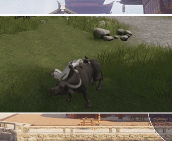 官方欺负小动物 我tm只听说过艹猫 你这是在艹牛?还被顶下来了?