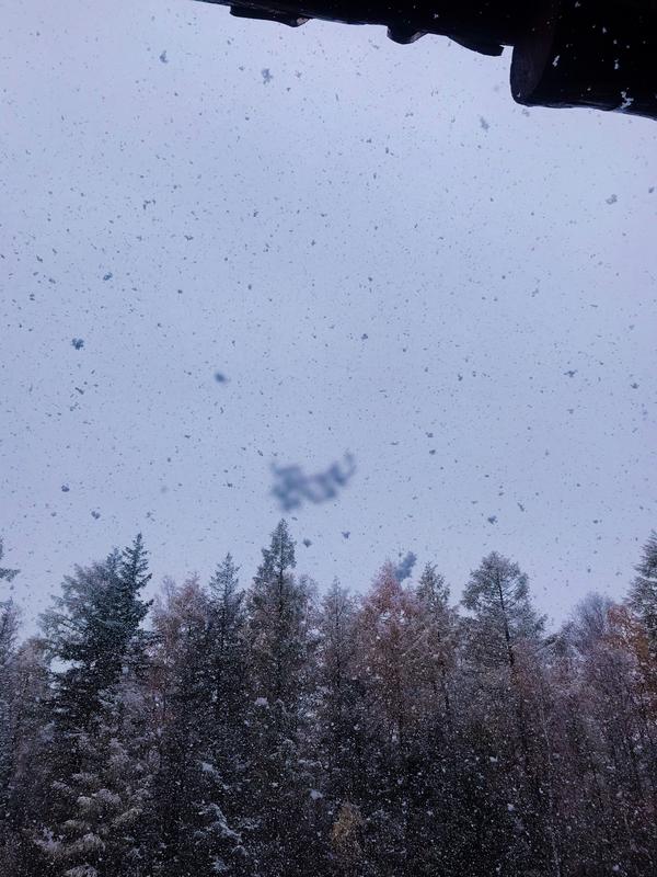 飘雪  