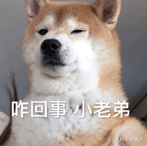 不要问我为什么这么多   因为我是沙雕本雕