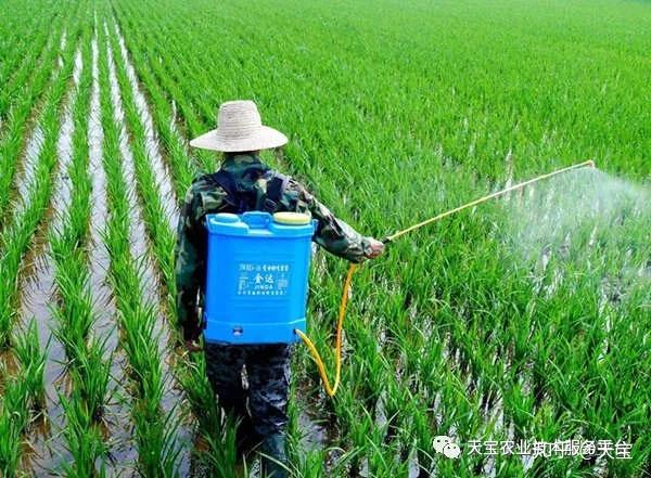 不必稀释直接使用几种农药