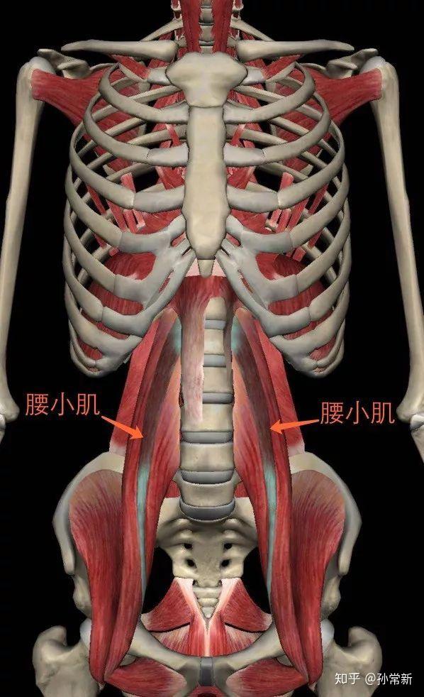 腰肌劳损正确的康复方法是什么?