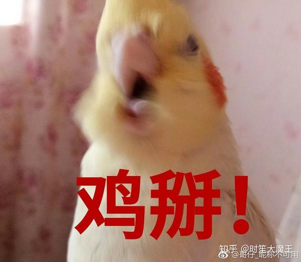微博偷的表情包 忽略水印hiahiahia