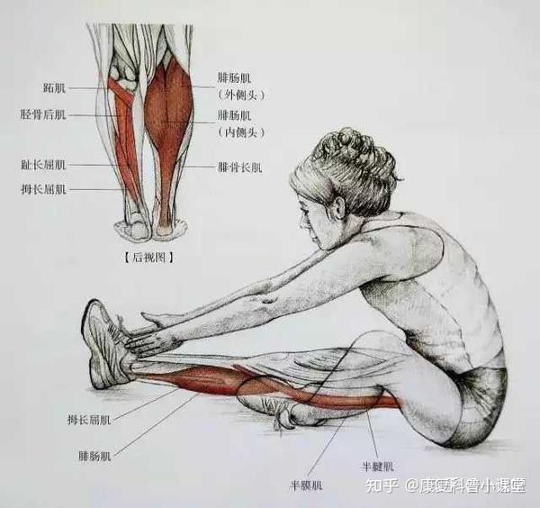 髌骨软化症的康复