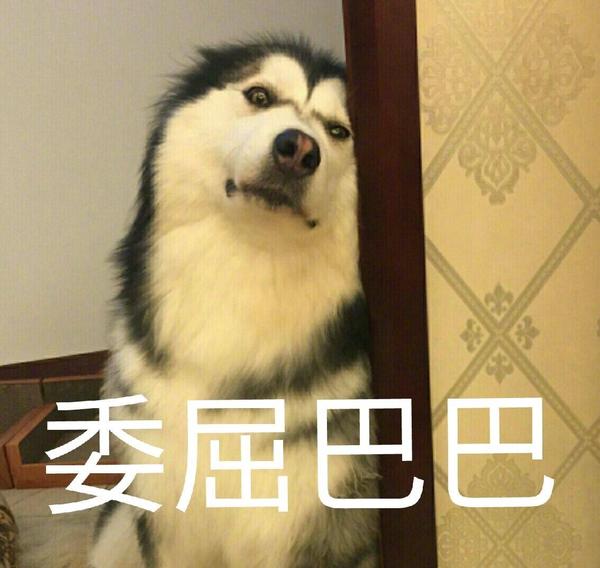 fine 没有拍下来翻白眼流口水都算好的了