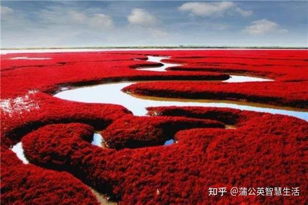 4.盘锦红海滩