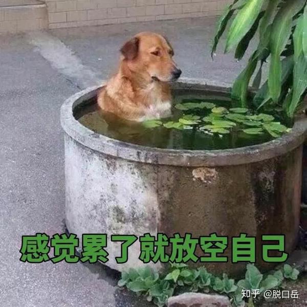 我特别能吃苦,后来……就过上了苦日子