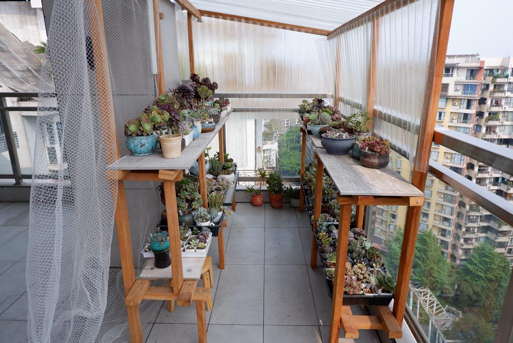 用做床剩下的木料,搭间阳光花房养多肉