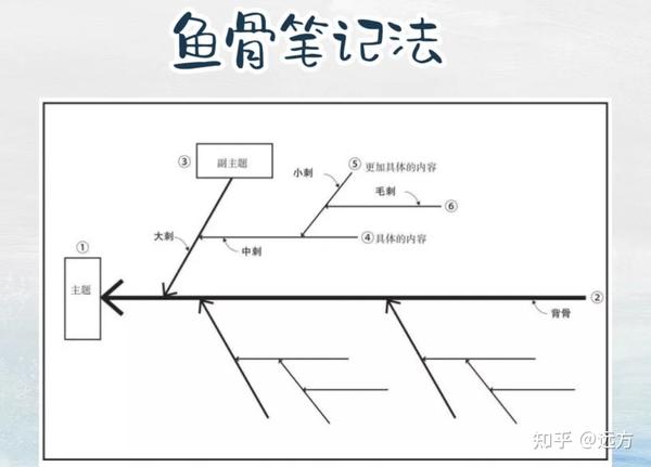 鱼骨笔记法—-思维导图