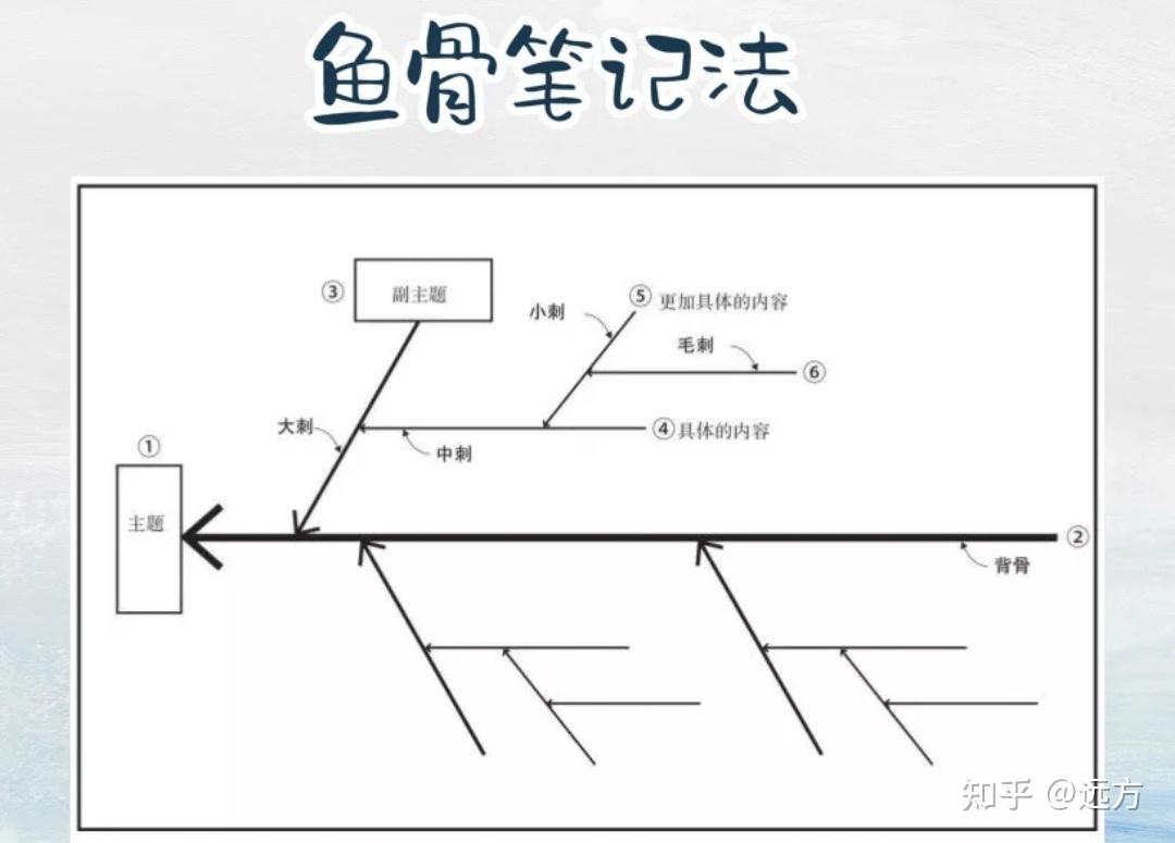 鱼骨笔记法思维导图