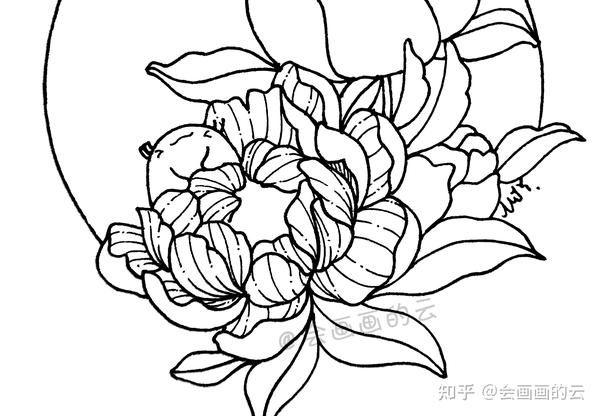 004,右侧的花骨朵线条可以画得密集些,和左边的花朵区分开
