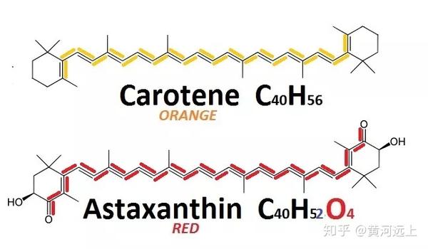 它能干啥: 虾青素有独特的分子结构: 是一种类胡萝卜素化合物,含有