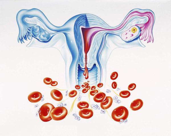 一,每次月经,都是子宫内膜在变化