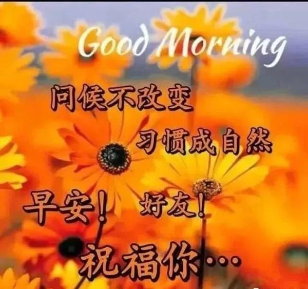 朋友圈幽默的早安问候语图片表情祝福朋友 微信早安问候语幽默祝福语