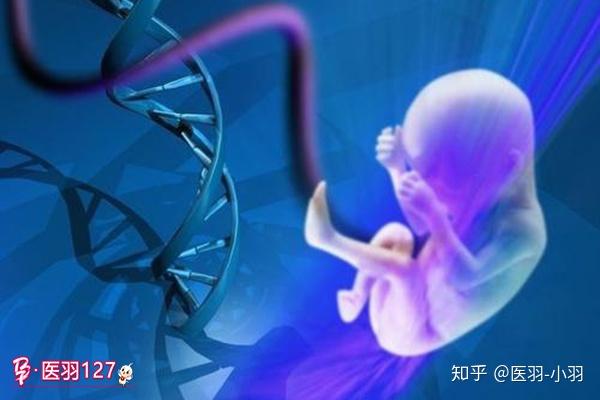 苯丙酮尿症携带者怎么生育健康的宝宝?