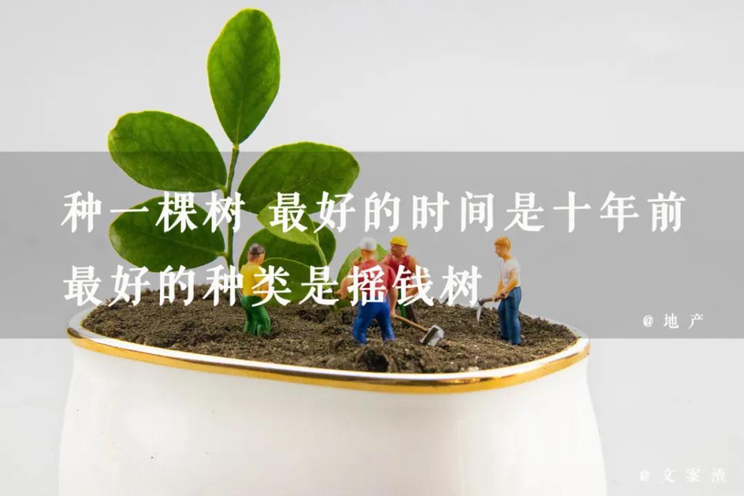 植树节海报文案植树节朋友圈文案2021文案渣
