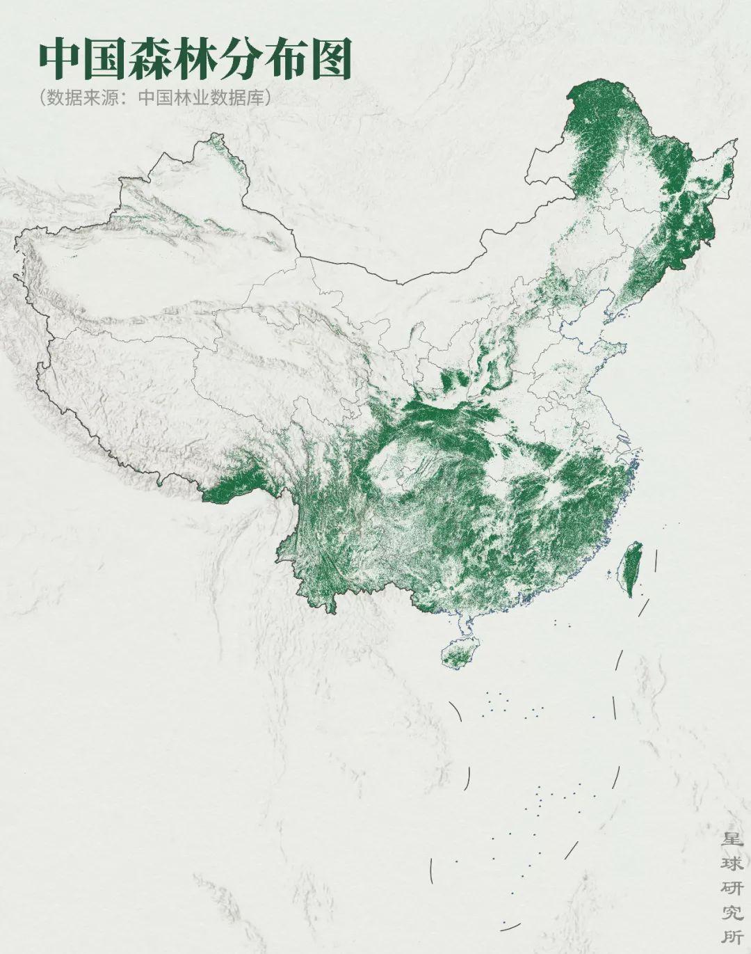 中国森林分布图,数据来源于中国林业数据库,制图@巩向杰郑伯容