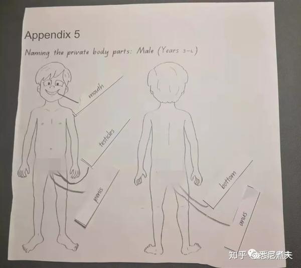 男生的隐私部位包括:嘴,小jj,蛋蛋,屁屁,屁屁洞洞 (煮夫把敏感部位
