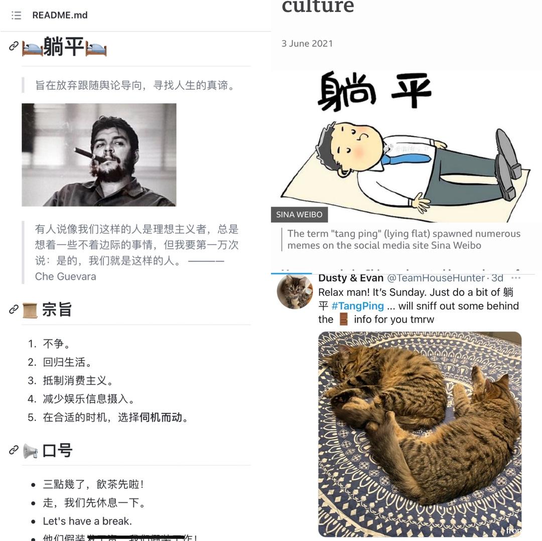 躺平作文 zhuanlan.zhihu.com