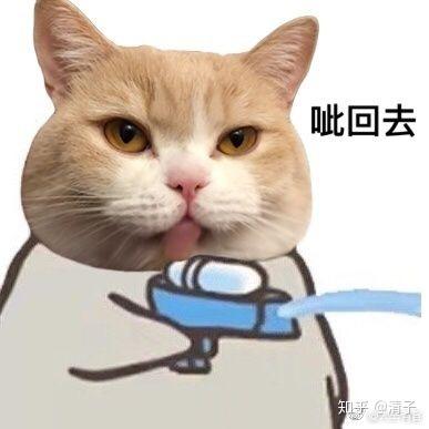 抖音猫咪喷水情侣头像