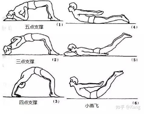 膝胸位——第三节胸椎 肘膝位——第八节胸椎 指膝位——第十一节