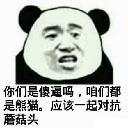 有哪些能把人死的表情包?