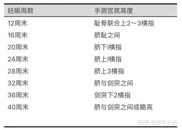 注解(一)子宫增大根据手测宫底高度及尺测耻上子宫长度(下表,可以