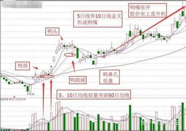 千金难买老鸭头——"鸭颈买,鸭头减仓,老鸭头"k线牛股