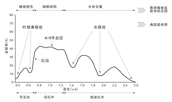 即作物在可见光部分(被叶绿素吸收)有较强的吸收峰,近红外波段(受叶片