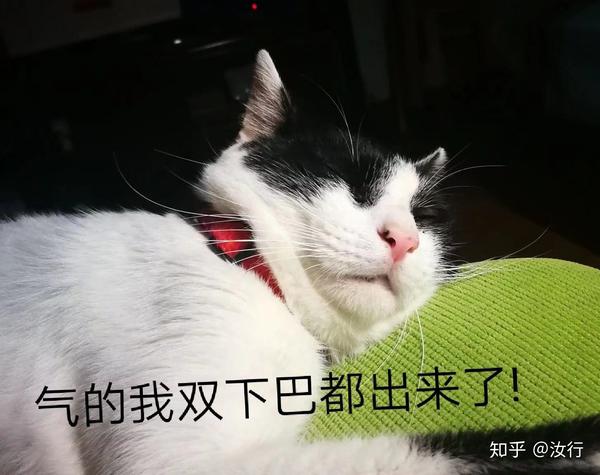 总是抓拍不到最好的表情包,以及它不粘我,粘我老爹.