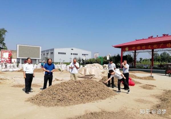 禹州古城镇钟楼村:生态宜居 乡风文明 生活富裕