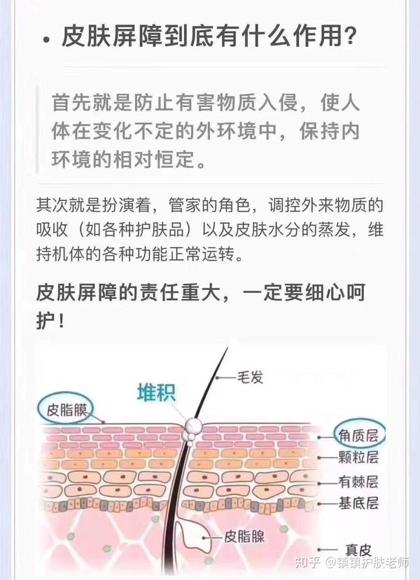 砖墙结构的皮肤天然保护屏障,你是怎么伤害它的?
