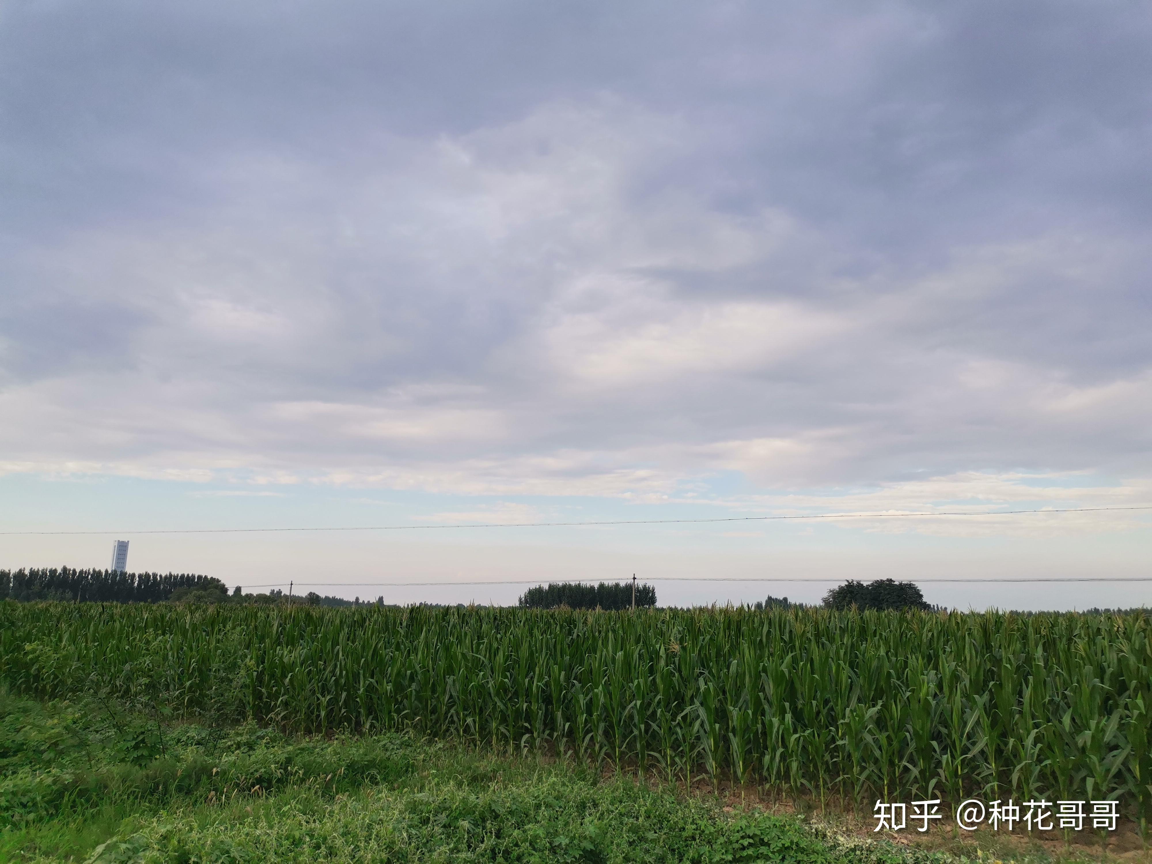 如何评价华北浪革乐队