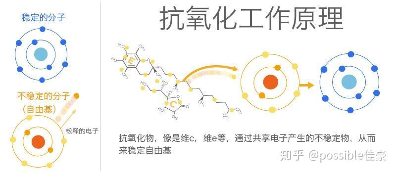 8,抗氧化作用