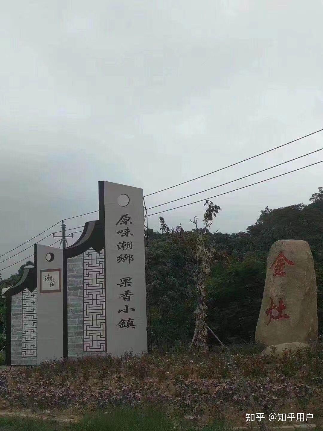 面对农业发展攻坚金灶杨梅小镇农民感谢国家感谢这个时代年轻人