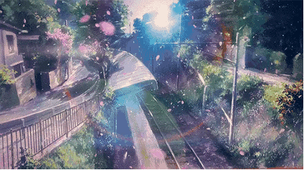 明日花 昨日已开