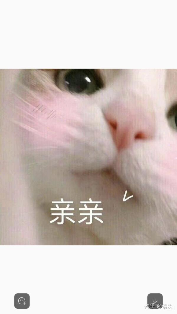 有什么适用于和老公/男票撒娇的可爱表情包?