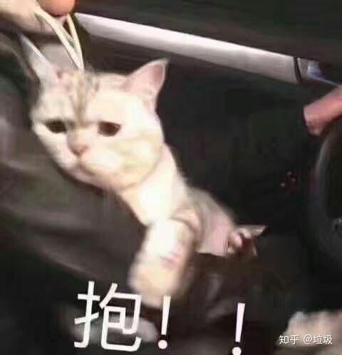 有什么适用于和老公/男票撒娇的可爱表情包?