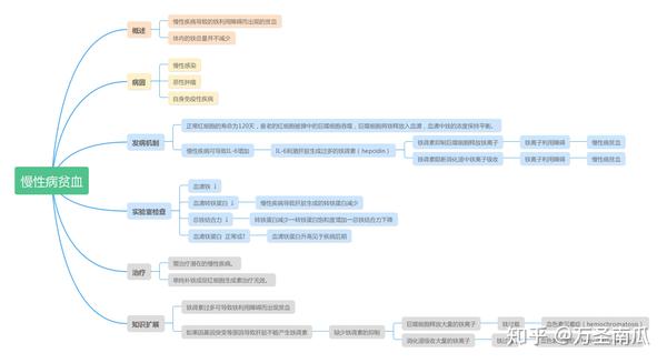 慢性病贫血----思维导图