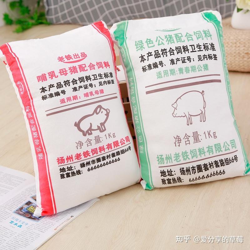 可爱女淘宝创意搞怪猪饲料毛绒抱枕头靠垫搞笑套路恶搞公母猪毕业天猫