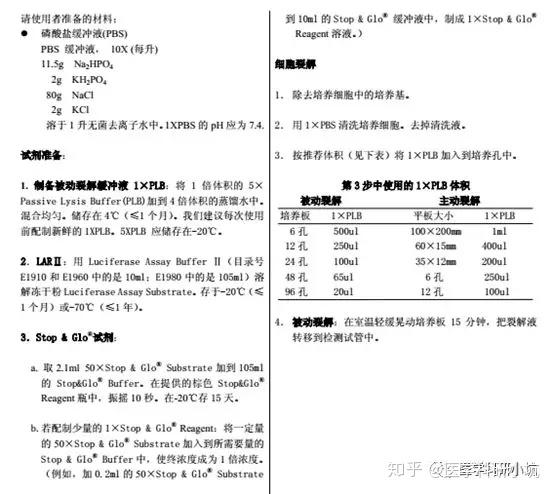 mirna荧光素酶实验完全攻略