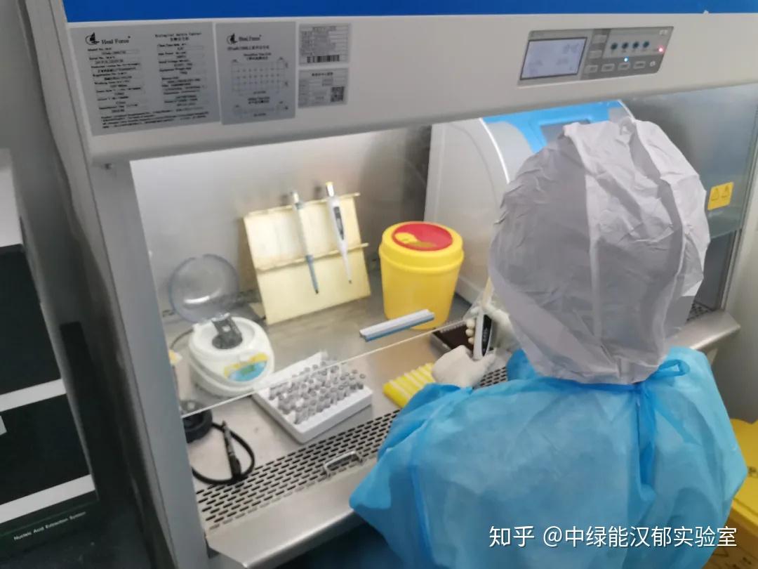 pcr实验室建设的几个关键点