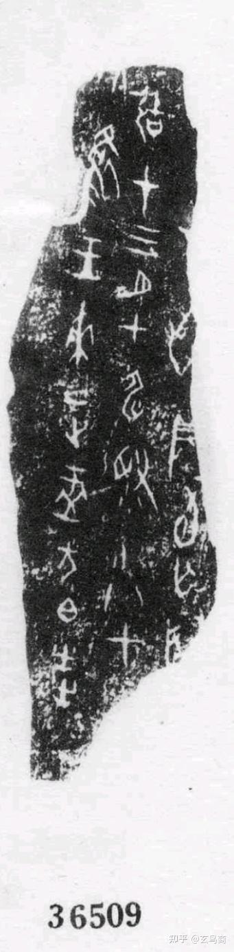 "王","盂","王口曰"这些用词也是武丁时期的专用语. 6.《合集》36509
