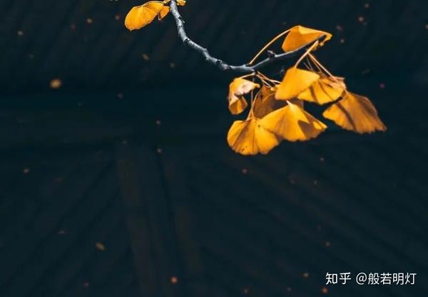 佛学人生一切皆因果你欠下的迟早要还