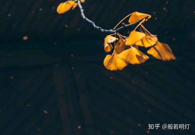 佛学人生一切皆因果你欠下的迟早要还