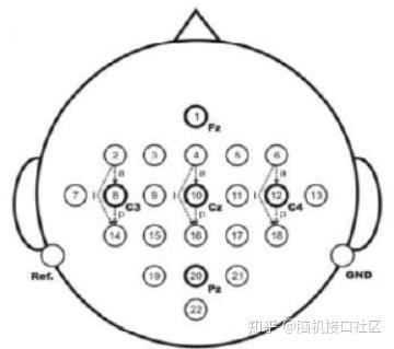 受试者头戴脑电采集装置,脑电采集电极分布如下图.