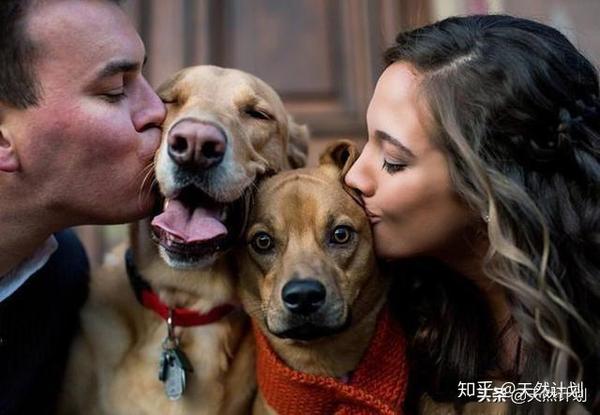 既然狗狗不能说话,那就由我替它发声:从我做起,抵制狗肉节