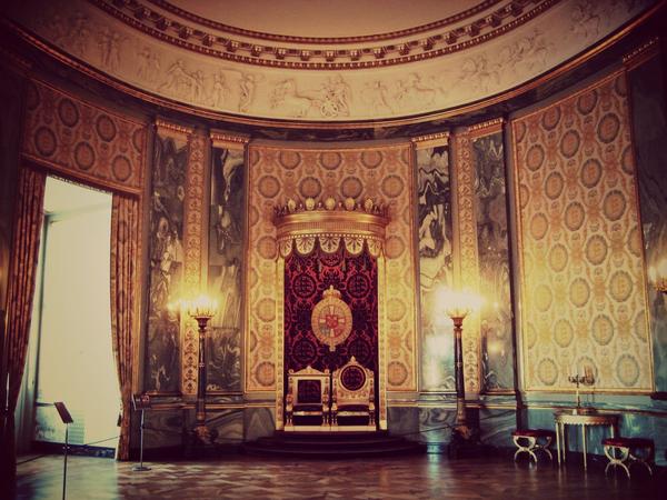 王座室(throne room)或王座厅(throne hall)是在宫殿或城堡之中为一名