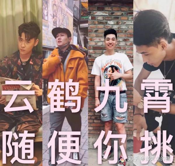 云鹤九霄,随便你挑